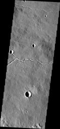 This image from NASA's Mars Odyssey shows channels that were likely carved by flowing lavas from Elysium Mons.