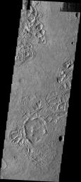 This image from NASA's Mars Odyssey shows small, linear ridges in this image located on the floor of an unnamed crater in Noachis Terra.