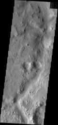 This image from NASA's Mars Odyssey shows transverse dunes and narrow ridges found near the channel of Huo Hsing Vallis on Mars.