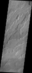 This image from NASA's Mars Odyssey shows lava flows originating at Arsia Mons, one of the large Tharsis volcanoes on Mars.