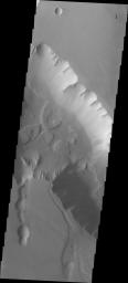 This image from NASA's Mars Odyssey shows a group of landslides located within Noctis Labyrinthus on Mars.