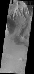 This image from NASA's Mars Odyssey shows the northern wall of Melas Chasma near Ophir Labes. Landslide deposits are evident on the bottom right side of the image.