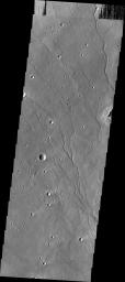 This image from NASA's Mars Odyssey shows channels located on the floor of Newton Crater on Mars.