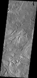 This image from NASA's Mars Odyssey shows channels in part of the complex Granicus Valles system. Granicus Valles was likely carved by lava flows that originated in the Elysium Volcanic region to the southeast of this image.