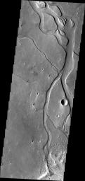 This image from NASA's Mars Odyssey shows channels and streamlined islands, part of Hebrus Valles on Mars.