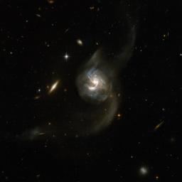 NGC 6090 is a beautiful pair of spiral galaxies with an overlapping central region and two long tidal tails formed from material ripped out of the galaxies by gravitational interaction. This image is from NASA's Hubble Space Telescope.