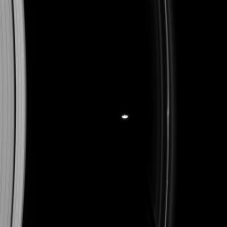 NASA's Cassini spacecraft spied Saturn's moon, Prometheus, one of the F ring shepherds, orbiting between the A and F rings. The F ring shows a kink near Prometheus, due to the moon's gravitational effect.