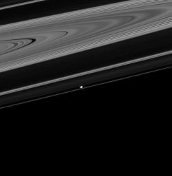 Prometheus shows up bright in this image from NASA's Cassini spacecraft of the dark side of the rings. The bright band that appears above Prometheus in this image is the Cassini division separating the (very dark) B ring and the A ring.
