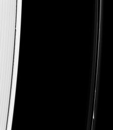The F ring and outer edge of the A ring can be seen in this image taken on Nov. 7, 2008 by NASA's Cassini spacecraft . A kink feature is visible in the F ring, probably caused by Prometheus or Pandora, the F ring's shepherd moons.