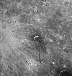 Mercury's First Fossae