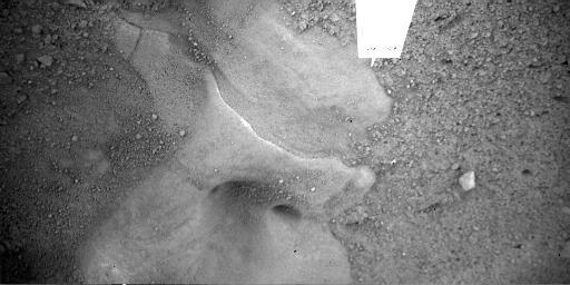 NASA's Phoenix Mars Lander shows a detailed image of the feature informally called 'Snow Queen,' located just beneath the lander. The holes in the image are located under Phoenix's thrusters.