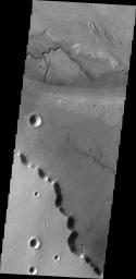 This image from NASA's Mars Odyssey shows a small channel incised into the floor of the much larger Kasei Valles. Kasei Valles is one of the largest channel systems on Mars