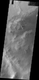This image from NASA's Mars Odyssey shows dark sand dunes located on the floor of Lyot Crater on Mars.