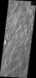 This image from NASA's Mars Odyssey shows Hecates Tholus at the northernmost of the Elysium volcanoes, featuring many channels.