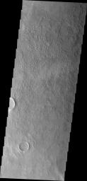 This image from NASA's Mars Odyssey shows a region of the floor of Schaiparelli Crater with an unusual texture. The texture almost looks like cells with nuclei.