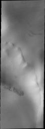 This image from NASA's Mars Odyssey shows Mars' unusual polar texture resembling bird tracks in snow that developed during summer heating.