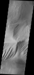 This image from NASA's Mars Odyssey shows part of a ridge on Mars located in Candor Chasma. Both wind and fluids appear to been agents of erosion in shaping the steep faces of the ridge.