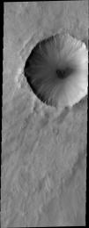 This image from NASA's Mars Odyssey shows a small dune field covering the floor of this unnamed crater on Mars, while gullies are located on the interior of the western rim.