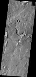 This image from NASA's Mars Odyssey shows a channel, just one of many located in eastern Tempe Terra on Mars.