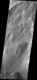 This image from NASA's Mars Odyssey shows small, dark dunes in an unnamed crater complex in Arabia Terra.