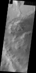 This image from NASA's Mars Odyssey shows a large dune field located on the floor of Lyot Crater.