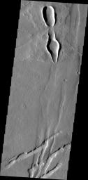 This image from NASA's Mars Odyssey shows a set of odd craters located in Ascuris Planum. The fractures at the bottom of the image are part of Mareotis Fossae.
