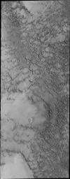 This image from NASA's Mars Odyssey shows a region of Mars' north polar dunes with less dune materials than other portions of the north polar erg.