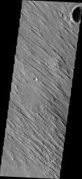 This image from NASA's Mars Odyssey shows a portion of Aeolis Planum. Aeolis Planum is composed of semi-resistant materials which have been eroded into linear ridges called yardangs.