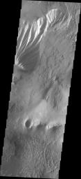 This image from NASA's Mars Odyssey shows some of the floor deposits within Candor Chasma on Mars. These deposits have been eroded by wind, and possibly by water.