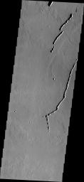 This image from NASA's Mars Odyssey shows connected oval depressions located in the Tharsis region north of Ascraeus Mons.