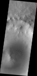 This image from NASA's Mars Odyssey shows dunes located in an unnamed crater in western Utopia Plainitia.