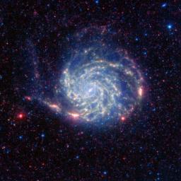 The Pinwheel galaxy, otherwise known as Messier 101, sports bright reddish edges in this new infrared image from NASA's Spitzer Space Telescope.