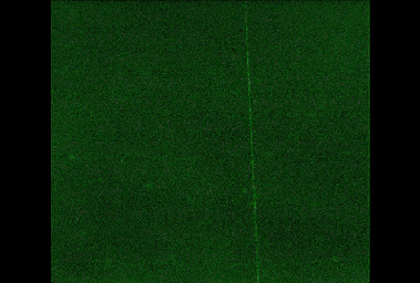 A laser beam from the Canadian-built lidar instrument on NASA's Phoenix Mars Lander can be seen in this contrast-enhanced image taken by Phoenix's Surface Stereo Imager on July 26, 2008, during early Martian morning hours of the 61st Martian day.