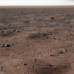 This image shows bluish-white frost seen on the Martian surface near NASA's Phoenix Mars Lander. The image was taken on Oct. 7, 2008. Frost is continued to appear in images as fall, then winter approach Mars' northern plains.