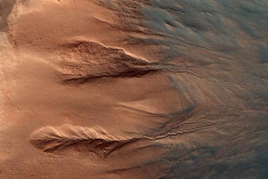 Gullies are relatively common features in the steep slopes of crater walls, possibly formed by dry debris flows, movement of carbon dioxide frost, or perhaps the melting of ground ice, as seen by NASA's Mars Reconnaissance Orbiter.