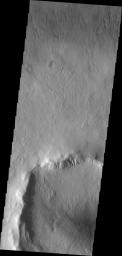 This image from NASA's Mars Odyssey shows dunes on Mars located in an unnamed crater in Utopia Planitia.