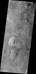 This image from NASA's Mars Odyssey shows a multitude of dust devil tracks visible on the northern plains near Phlegra Montes on Mars.