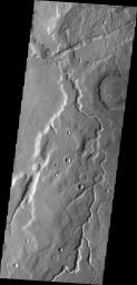 This image from NASA's Mars Odyssey shows an unnamed channel on Mars located on the eastern margin of Tempe Terra.