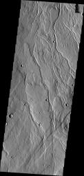 This image from NASA's Mars Odyssey shows a region of channels dissecting the northwest margin of Alba Mons, an ancient volcano.
