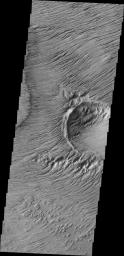 This image from NASA's Mars Odyssey shows a region of extensive erosion by the wind on Mars.