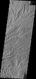 This image from NASA's Mars Odyssey shows a system of sinuous ridges which are remnants of a channel system on Mars.