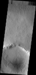 This image from NASA's Mars Odyssey shows the floor of an unnamed crater in Utopia Planitia with the typical pattern of northern craters, a pattern that suggests volatiles are part of the material filling the crater.
