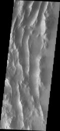 This image from NASA's Mars Odyssey shows a small portion of the Lycus Sulci region that surrounds Olympus Mons on its north and western flanks. The ridges of the Sulci host numerous dark slope streaks.