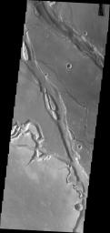 This image from NASA's Mars Odyssey shows the extensive and complex valley system of Ganicus Valles. These are lava channels related to the Elysium Volcanic complex to the east.