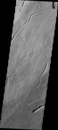 This image from NASA's Mars Odyssey shows part of the northeastern flank of Arsia Mons. Flank flows are extensive in this part of the volcano and the channels and collapse features are all related to volcanic activity.