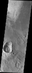 This image from NASA's Mars Odyssey shows a sampling of some of the dunes on the floor of Herschel Crater.