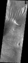 This image from NASA's Mars Odyssey shows part of the eastern end of Candor Chasma on Mars.