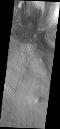 This image from NASA's Mars Odyssey shows part of the northern wall of Melas Chasma. Landslide debris has fallen from the wall and spread out on the floor of the chasma. Dunes have formed along the base of the wall and partway up the slope.