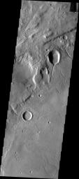 This image from NASA's Mars Odyssey shows channels on the surface of Mars.