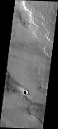 This image from NASA's Mars Odyssey shows a windstreak located on the volcanic flows of western Daedalia Planum.